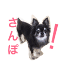 アンリは女の子です（個別スタンプ：7）
