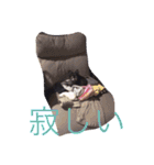 アンリは女の子です（個別スタンプ：8）