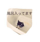 アンリは女の子です（個別スタンプ：21）