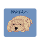 トイプードルによる24の会話（個別スタンプ：2）