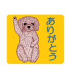 トイプードルによる24の会話（個別スタンプ：3）