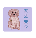 トイプードルによる24の会話（個別スタンプ：11）