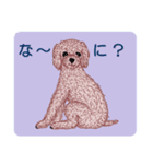 トイプードルによる24の会話（個別スタンプ：13）