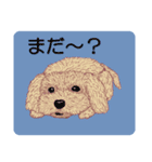 トイプードルによる24の会話（個別スタンプ：19）