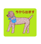 トイプードルによる24の会話（個別スタンプ：21）