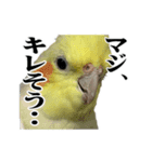 ココロがキツそうな動物たち。（個別スタンプ：12）