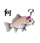 Girl fish sticker of carp fishing（個別スタンプ：2）