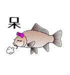 Girl fish sticker of carp fishing（個別スタンプ：5）