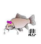 Girl fish sticker of carp fishing（個別スタンプ：13）