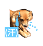 ハーチャ日和（個別スタンプ：2）