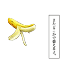 永遠のバナナ（個別スタンプ：31）