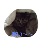 荊夏（個別スタンプ：13）