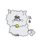 猫のハチ（個別スタンプ：11）