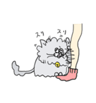猫のハチ（個別スタンプ：29）