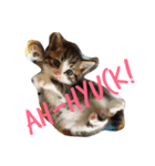 かぎしっぽ の ねこ2（個別スタンプ：1）