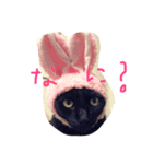 くろねこ_しぇぱーど（個別スタンプ：3）