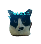 kumakki-0（個別スタンプ：6）