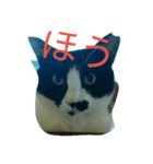 kumakki-0（個別スタンプ：7）