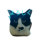 kumakki-0（個別スタンプ：8）