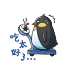 iceland good friends our daily day（個別スタンプ：12）
