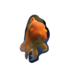 犬とか魚とか（個別スタンプ：3）