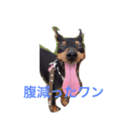 てるぼんさん家のむぎはく。（個別スタンプ：3）