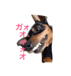 てるぼんさん家のむぎはく。（個別スタンプ：6）