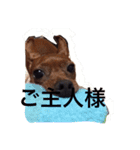 てるぼんさん家のむぎはく。（個別スタンプ：7）