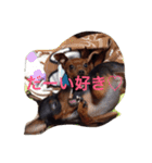 てるぼんさん家のむぎはく。（個別スタンプ：9）