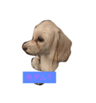 ゴーゴーGochan（個別スタンプ：3）