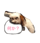 ゴーゴーGochan（個別スタンプ：7）
