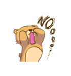 Lupe Bear（個別スタンプ：35）