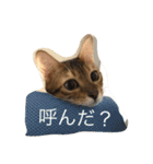 シャビくん（個別スタンプ：9）
