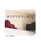 猫 生活（個別スタンプ：5）