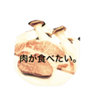 猫 生活（個別スタンプ：7）
