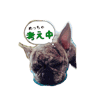 ラムさんと愉快な仲間達②（個別スタンプ：7）