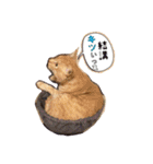 ラムさんと愉快な仲間達②（個別スタンプ：20）