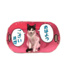 ラムさんと愉快な仲間達②（個別スタンプ：21）