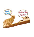 ラムさんと愉快な仲間達②（個別スタンプ：23）
