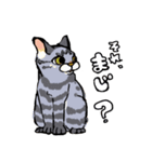 とんすけとみいすけ（個別スタンプ：16）