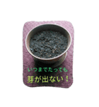 写心1（個別スタンプ：2）