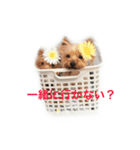 セーちゃん＆ティンク（個別スタンプ：8）
