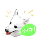 サクラとコメ（個別スタンプ：2）