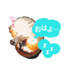 サクラとコメ（個別スタンプ：6）