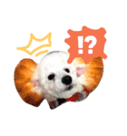 サクラとコメ（個別スタンプ：9）