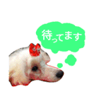 サクラとコメ（個別スタンプ：14）