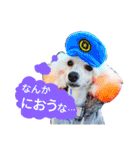 サクラとコメ（個別スタンプ：17）