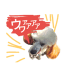サクラとコメ（個別スタンプ：18）