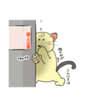 ネコだけど頑張ってたりするver2おもしろ編（個別スタンプ：14）