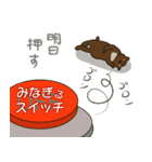 ネコだけど頑張ってたりするver2おもしろ編（個別スタンプ：36）